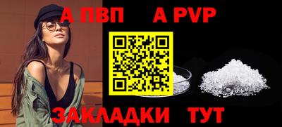 PSILOCYBIN Можга