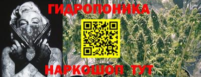 сатива Моздок