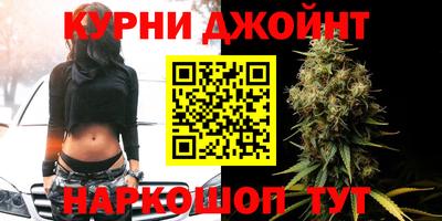 сатива Моздок