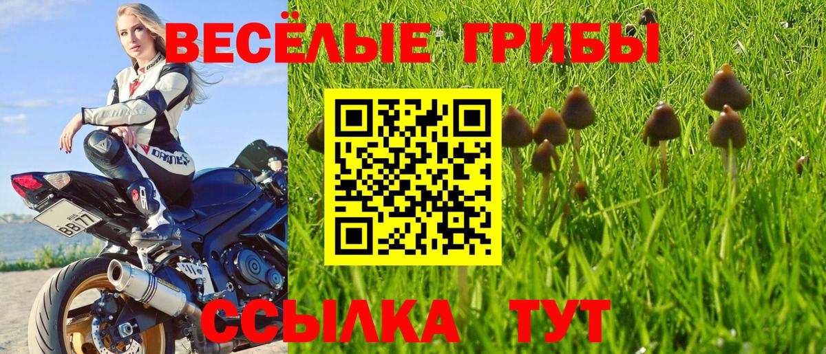 Боровичи  Галлюциногенные грибы Magic Shrooms  Вход с VPN  наркотики  Псилоцибиновые грибы MAGIC MUSHROOMS 