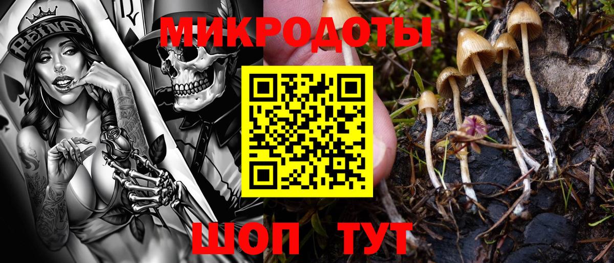 Псилоцибиновые грибы прущие грибы Боровичи